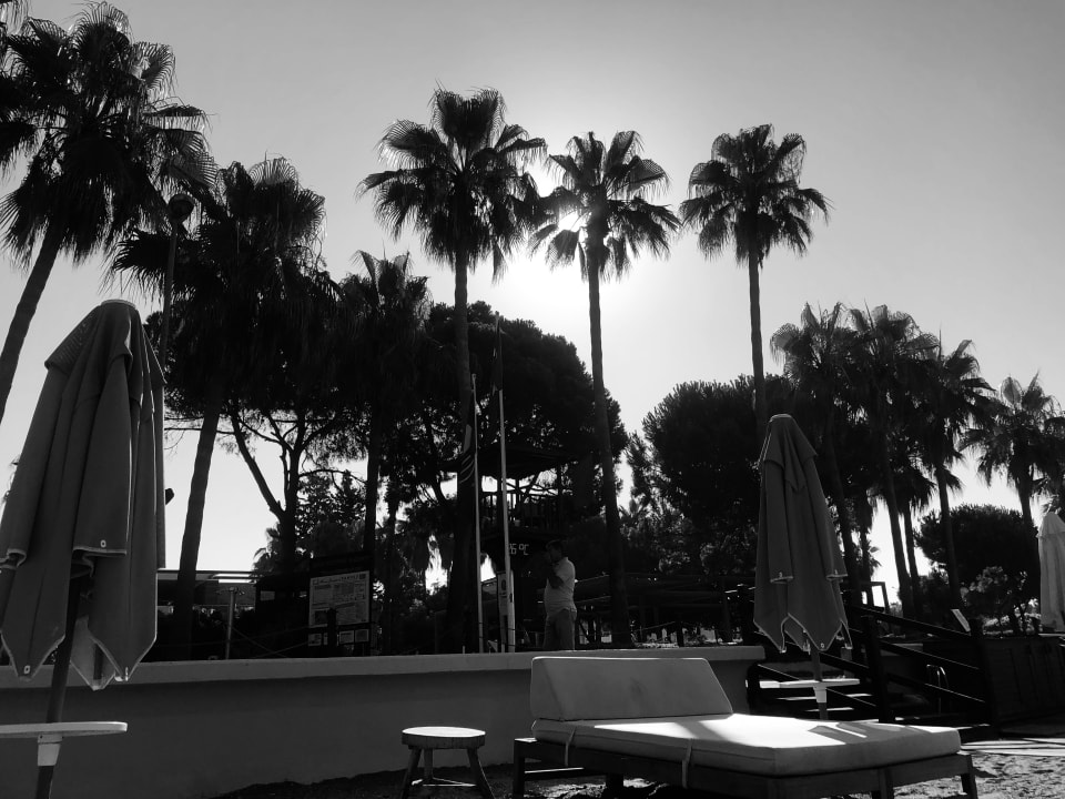 Strand Acanthus Cennet Barut Collection