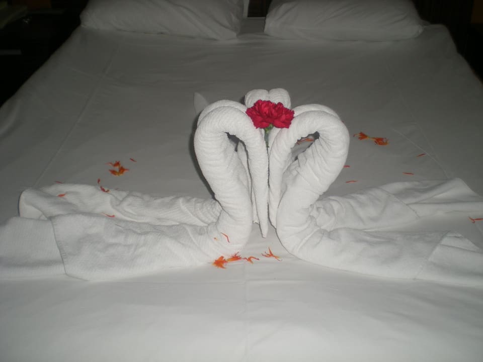 Als wieder Gutmachung Sherwood Exclusive Lara