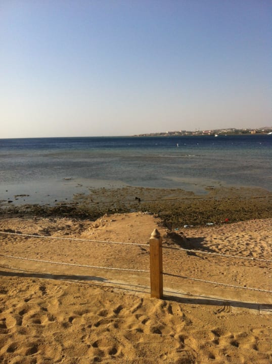 Blick von meiner Liege Makadi Spa - Adults only