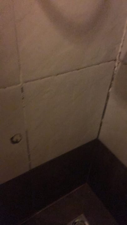 Zimmer Hotel Honey Inn