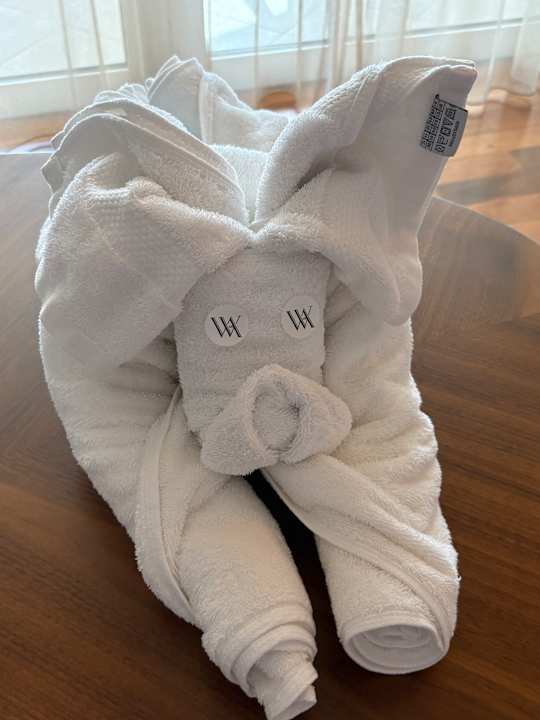 Zimmer Waldorf Astoria Dubai Palm Jumeirah