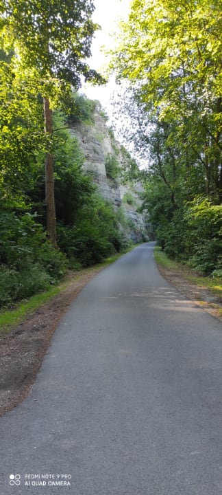 Ausblick Ferienhof Probstei Zella