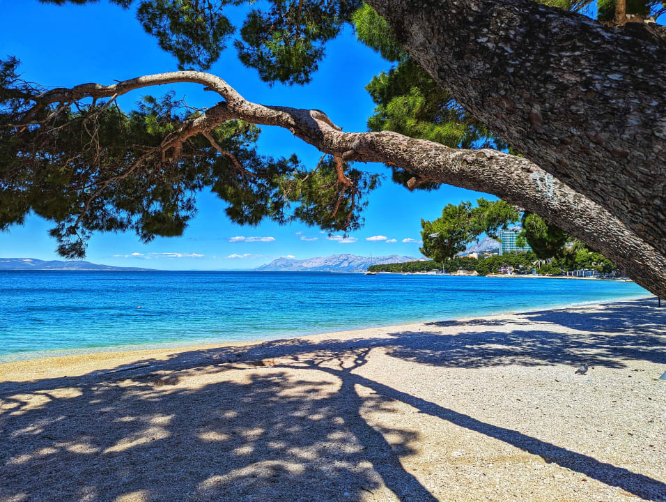 Strand Aminess Laurel Khalani Hotel