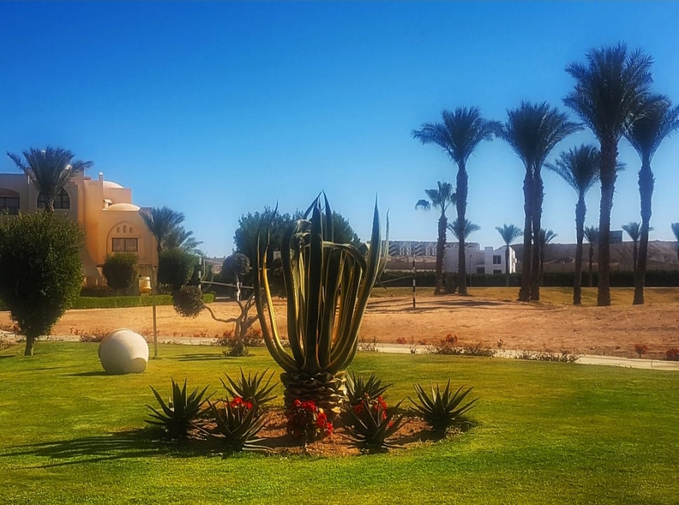 Gartenanlage JAZ Neo Saraya Palms