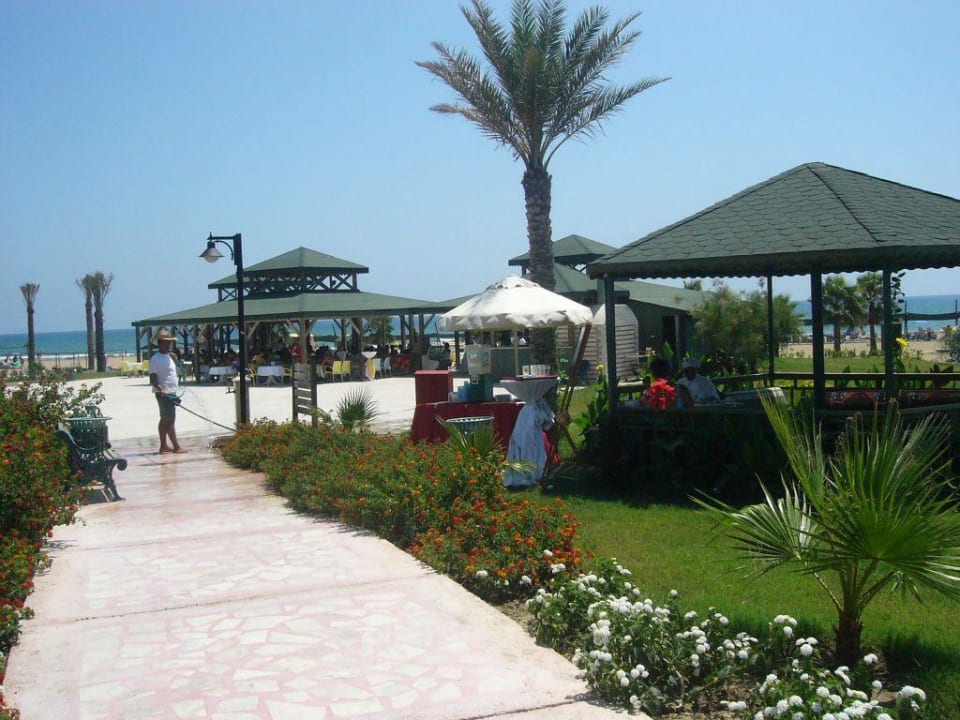 snackbar Royal Atlantis Beach Hotel