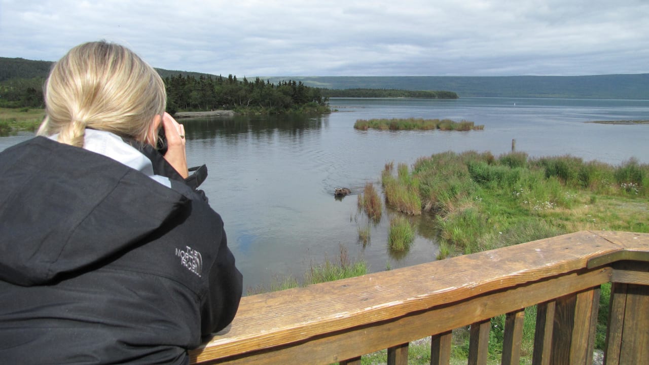 Beobachtungspunkt Brooks Lodge