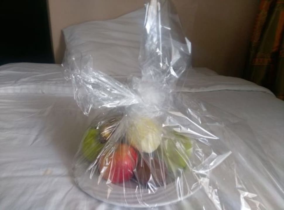 Zimmer Pickalbatros Palace Resort