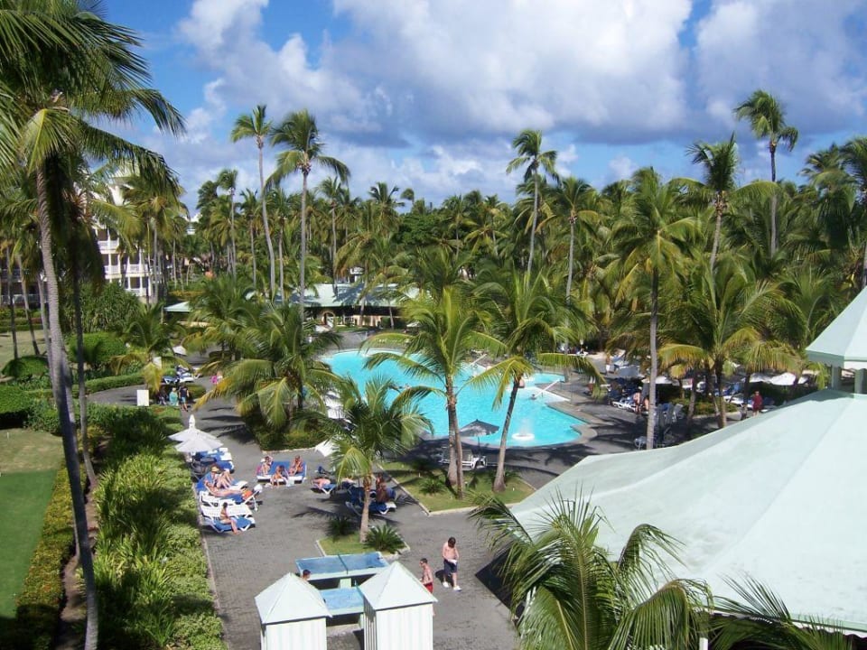 Aussicht auf Pool und Garten Hotel Riu Palace Macao - Adults only
