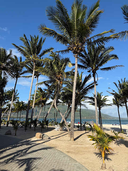 Strand Hotel Riu Turquoise