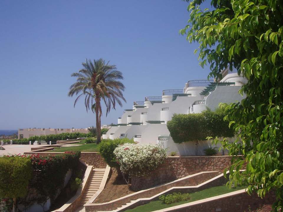 Widok z pokoju Safir Sharm Waterfalls Resort