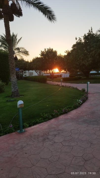 Gartenanlage Desert Rose