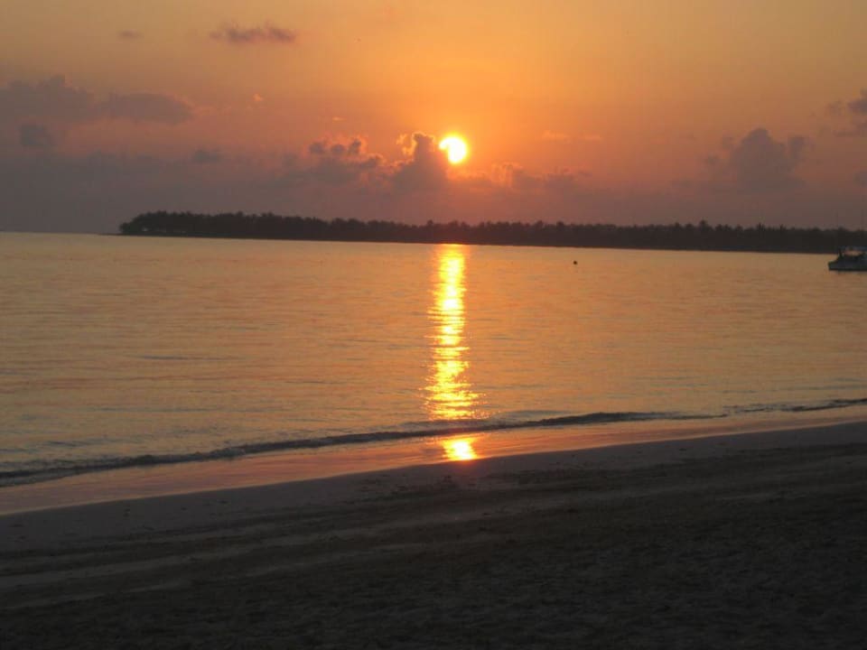 Sonnenaufgang Barcelo Bavaro Beach - Adults only