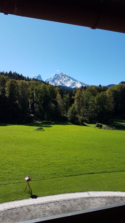Ausblick Alm- & Wellnesshotel Alpenhof