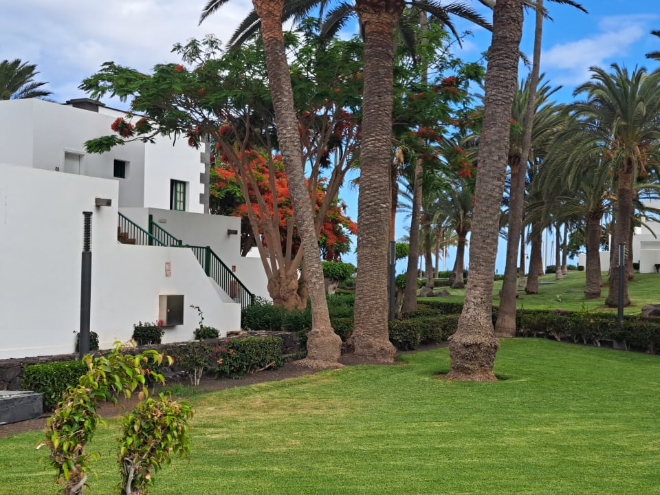Gartenanlage Hotel Riu Paraiso Lanzarote