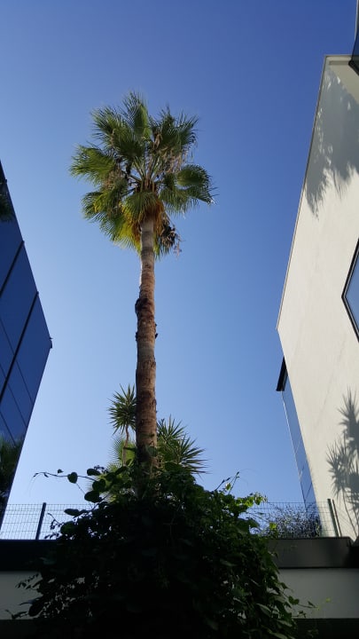 Gartenanlage Numa Bay Exclusive Hotel
