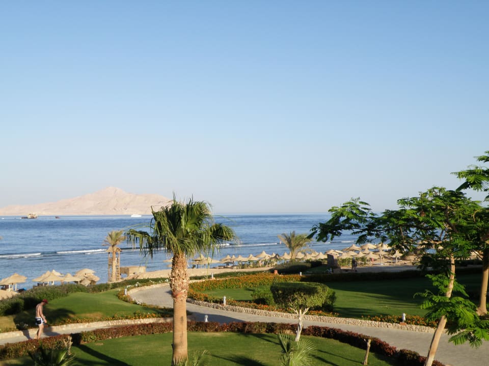 Widok z pokoju na morze i wyspę Tiran Charmillion Club Resort
