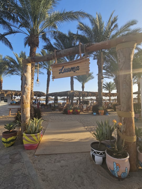 Gastro Fort Arabesque Resort, Spa & Villas