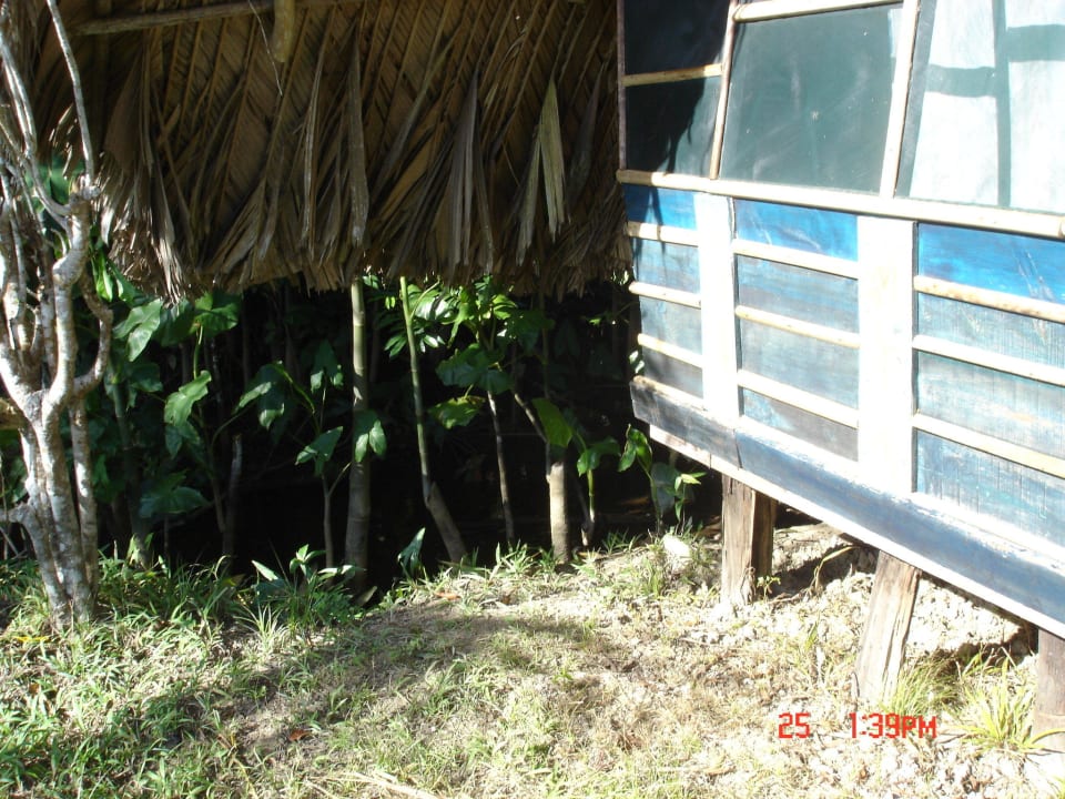 Hotel Orinoco Delta Lodge Hotel Orinoco Delta Lodge