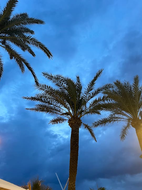 Gartenanlage allsun Hotel Pil-lari Playa