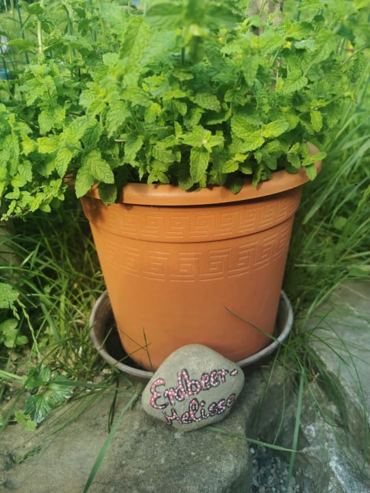 Gartenanlage Ferienhof Stiefel| Allgäu-Urlaub |