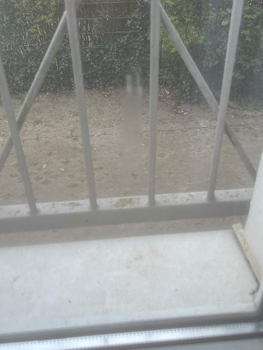 Zimmer Europa Hotel Kühlungsborn