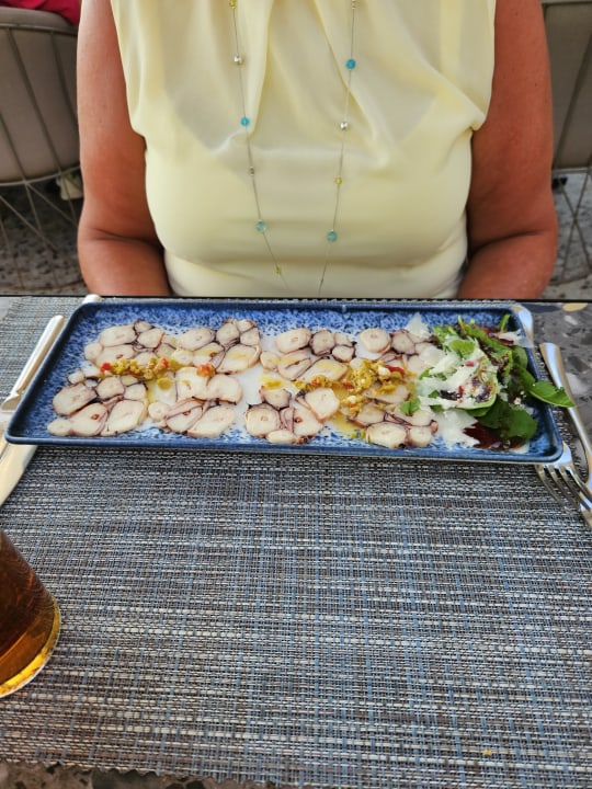 Gastro PALOMA Perissia