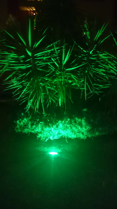 Gartenanlage Hotel Victory Resort