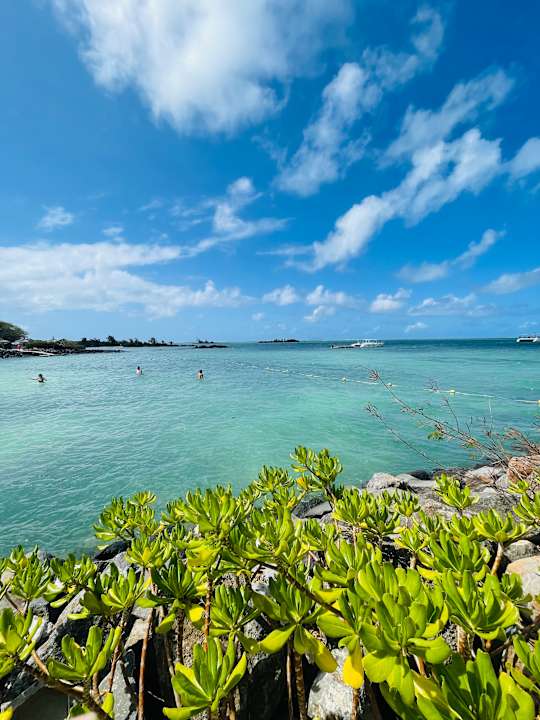 Ausblick Lagoon Attitude - Adults only