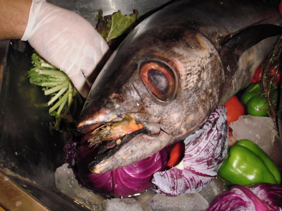 Im Restaurant Pickalbatros Alf Leila Wa Leila Resort - Neverland Hurghada