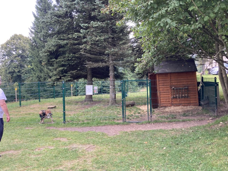 Garten AHORN Waldhotel Altenberg