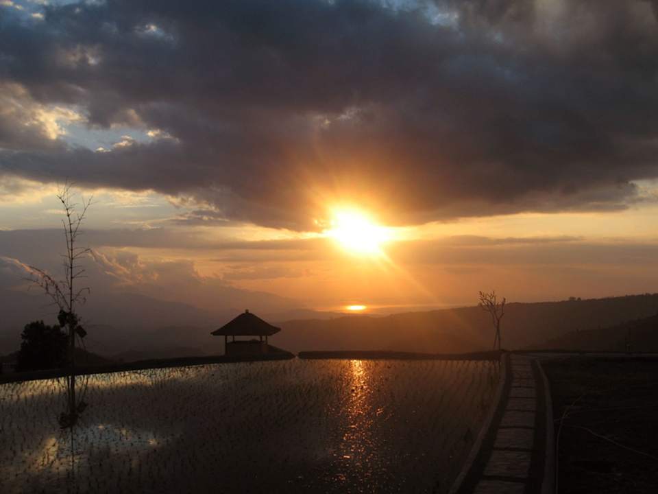 Pool Puri Lumbung Cottages