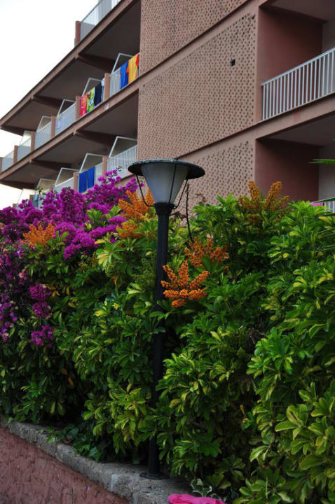 Widok od strony basenu Reverence Life  - Adults only