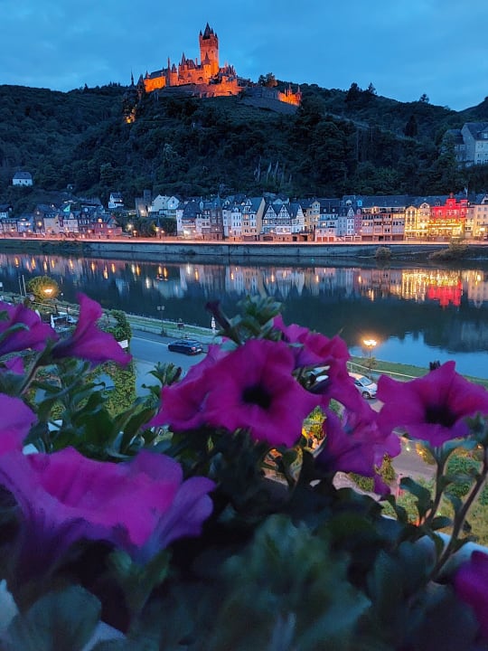Ausblick Moselstern Hotel Brixiade & Triton
