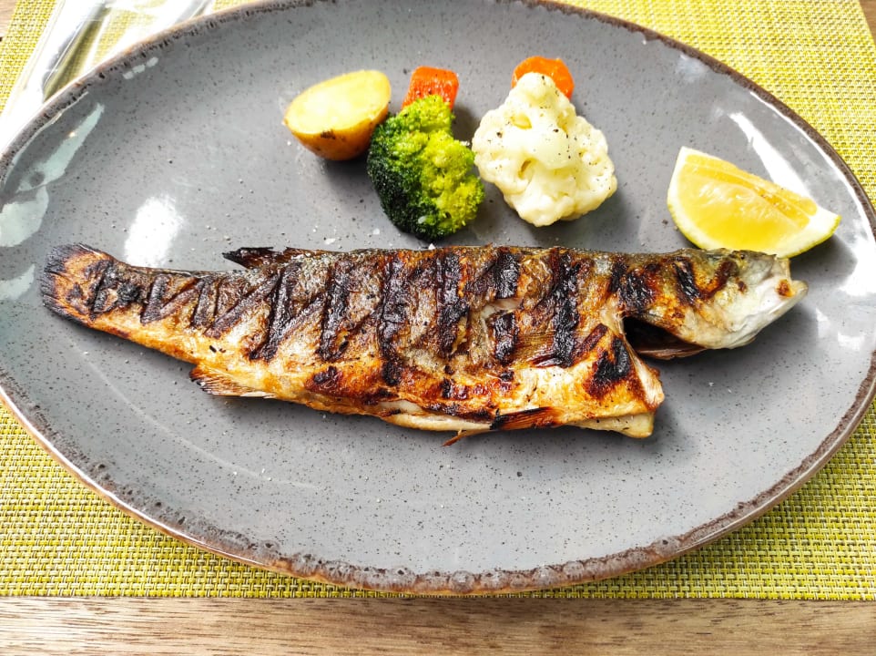 Gastro Acanthus Cennet Barut Collection