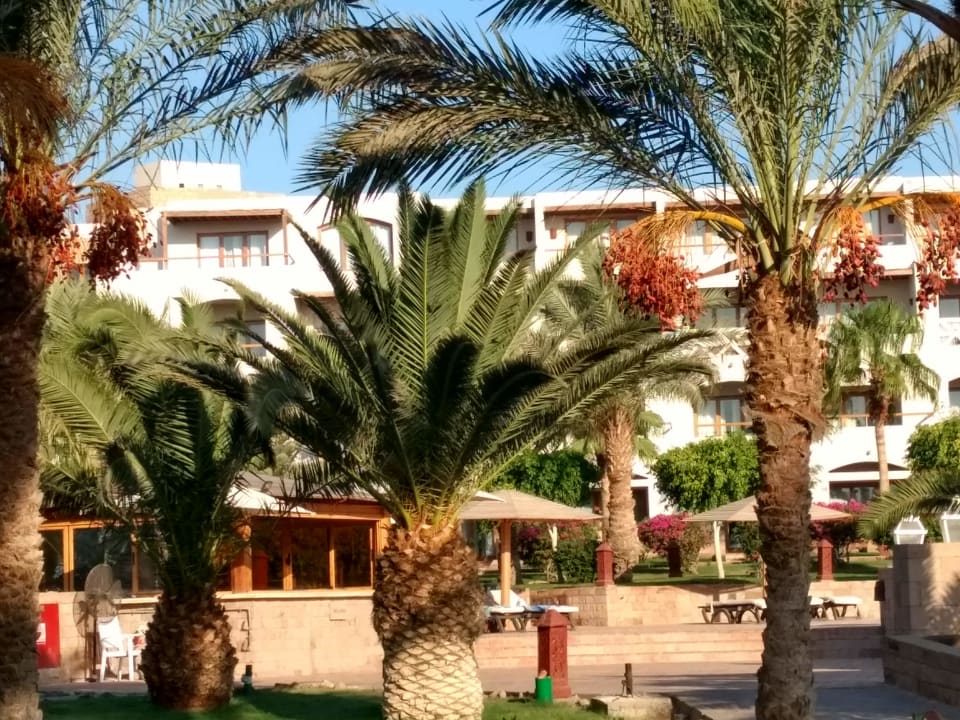 Außenansicht Fort Arabesque Resort, Spa & Villas