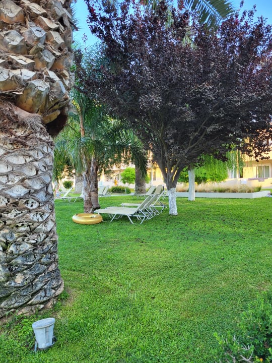 Gartenanlage Hotel Esperia