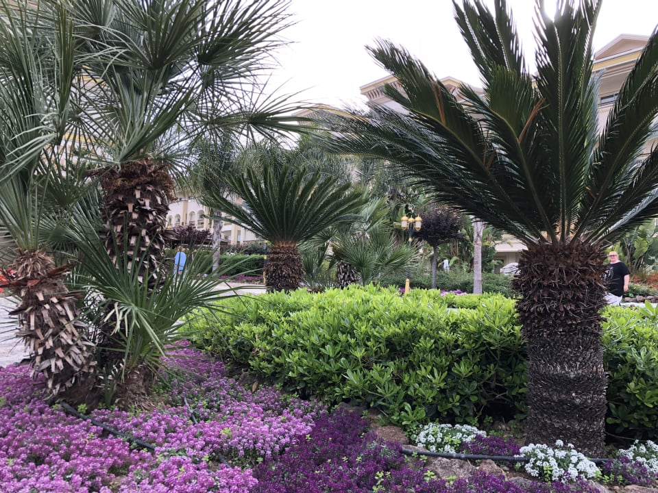 Gartenanlage Diamond Excellence Resort & Spa