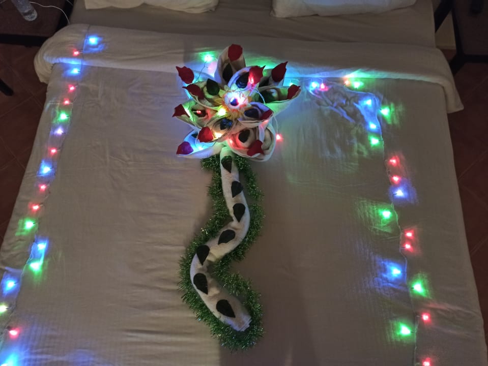 Zimmer Three Corners Sea Beach Resort