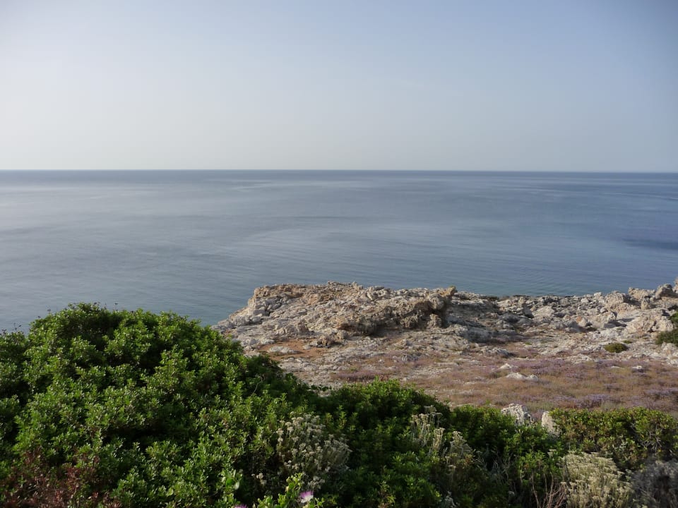 Ausblick Hotel Kalithea Horizon Royal