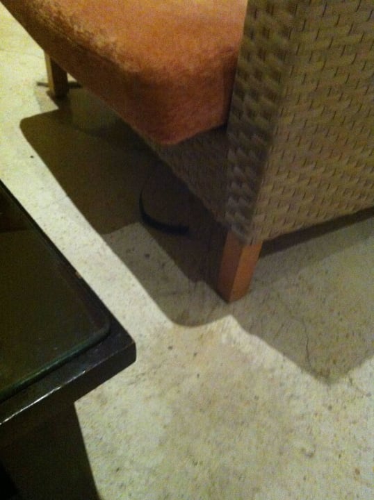 Defekte Möbel (Gurt unterm Sofa) Retac Qunay Dahab Resort and Spa