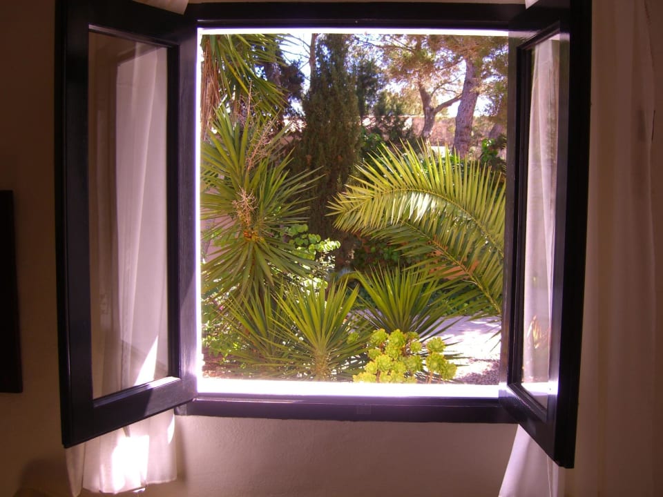 Ausblick vom Wohnraum Hotel Casa Amarilla