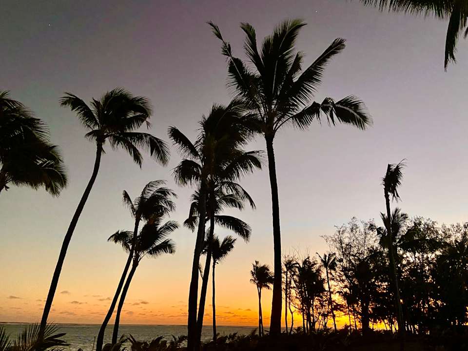 Gartenanlage Hotel Riu Palace Mauritius