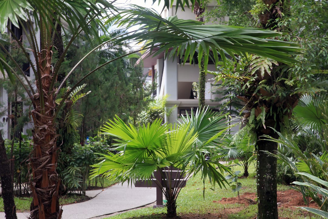 Sehr gepflegt und grün La Flora Khao Lak