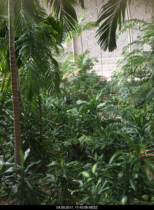 Gartenanlage Tropical Islands Resort