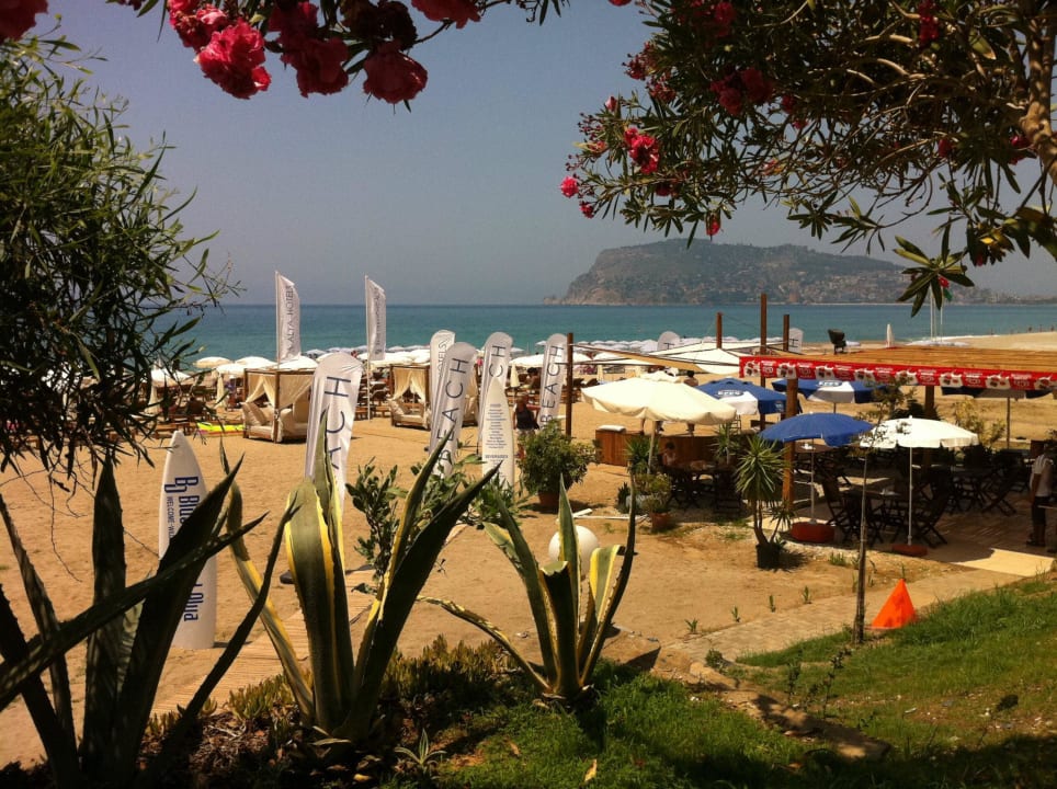 Mooie strand Blue Diamond Alya