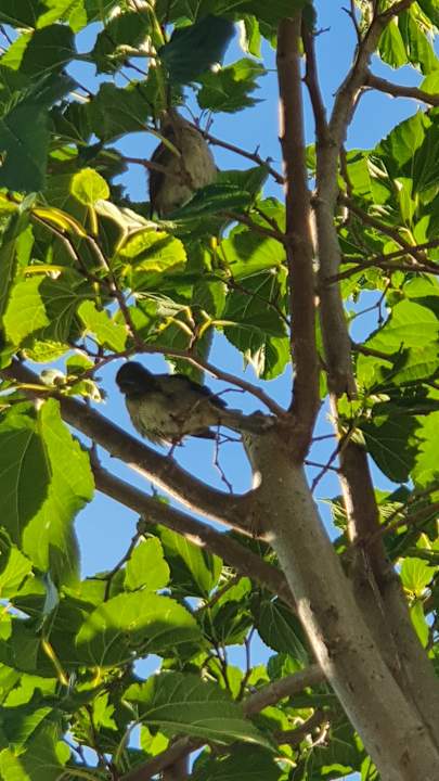 Gartenanlage Universal Hotel Castell Royal