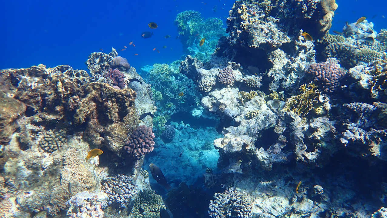 Strand Albatros Makadi Resort