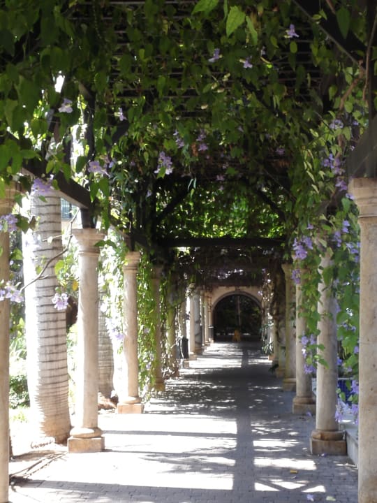 Gartenanlage Lopesan Costa Meloneras, Resort & Spa