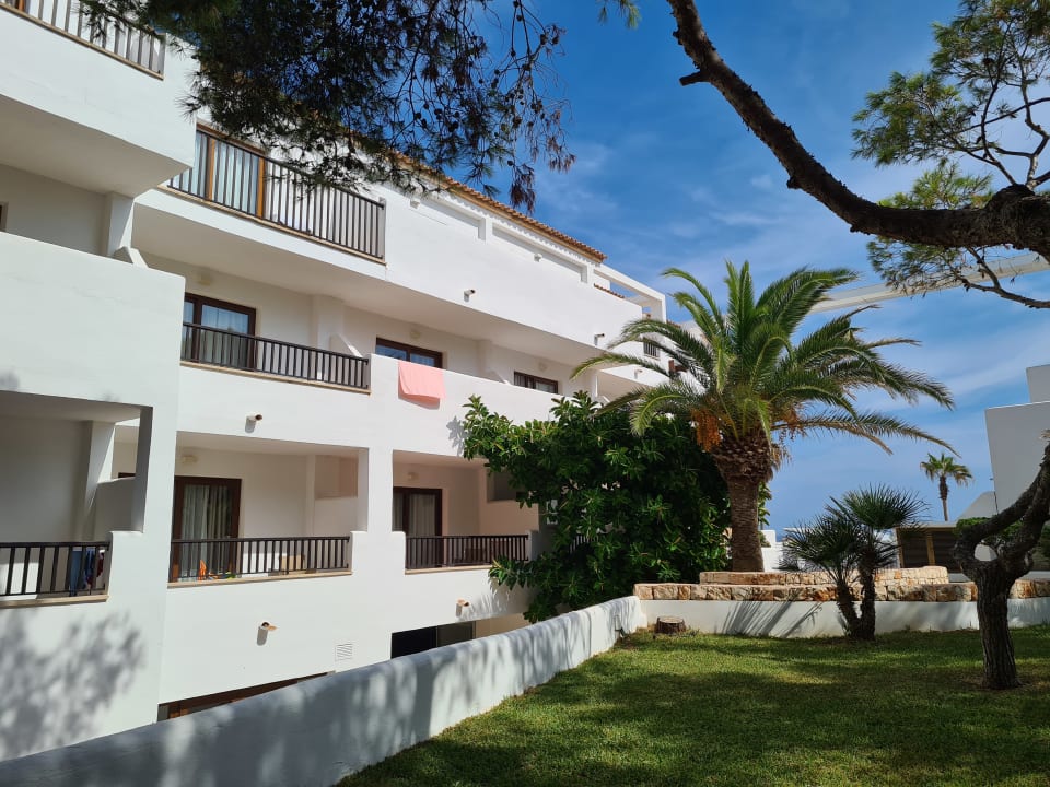 Gartenanlage Alua Suites Las Rocas