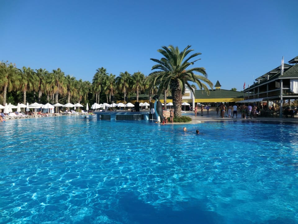 Animations-Pool Botanik Hotel & Resort
